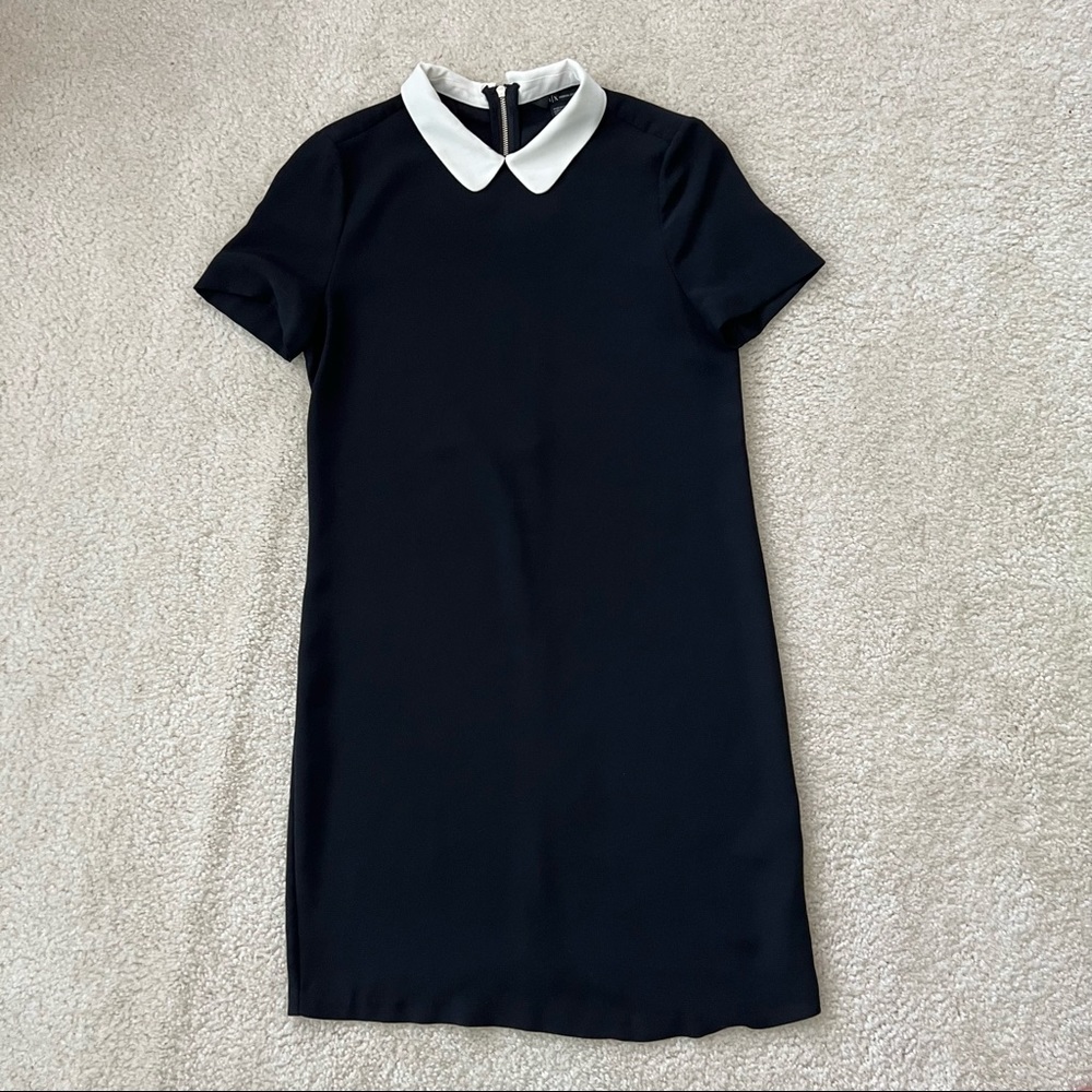 Armani Exchange Black Dress with White Collar
